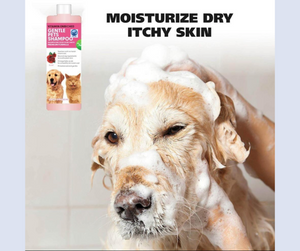 Pets Lab Dog & Cat Shampoo 503ml