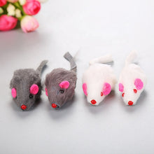 Load image into Gallery viewer, Cat Mini Mouse Toys (2pcs)
