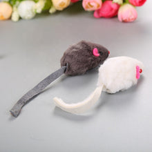 Load image into Gallery viewer, Cat Mini Mouse Toys (2pcs)
