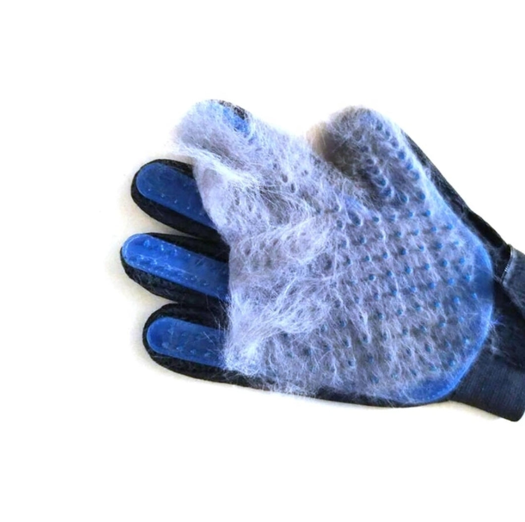 Glove Brush