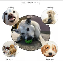 Load image into Gallery viewer, Dog Chew Ball Toy
