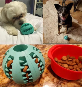 Dog Chew Ball Toy